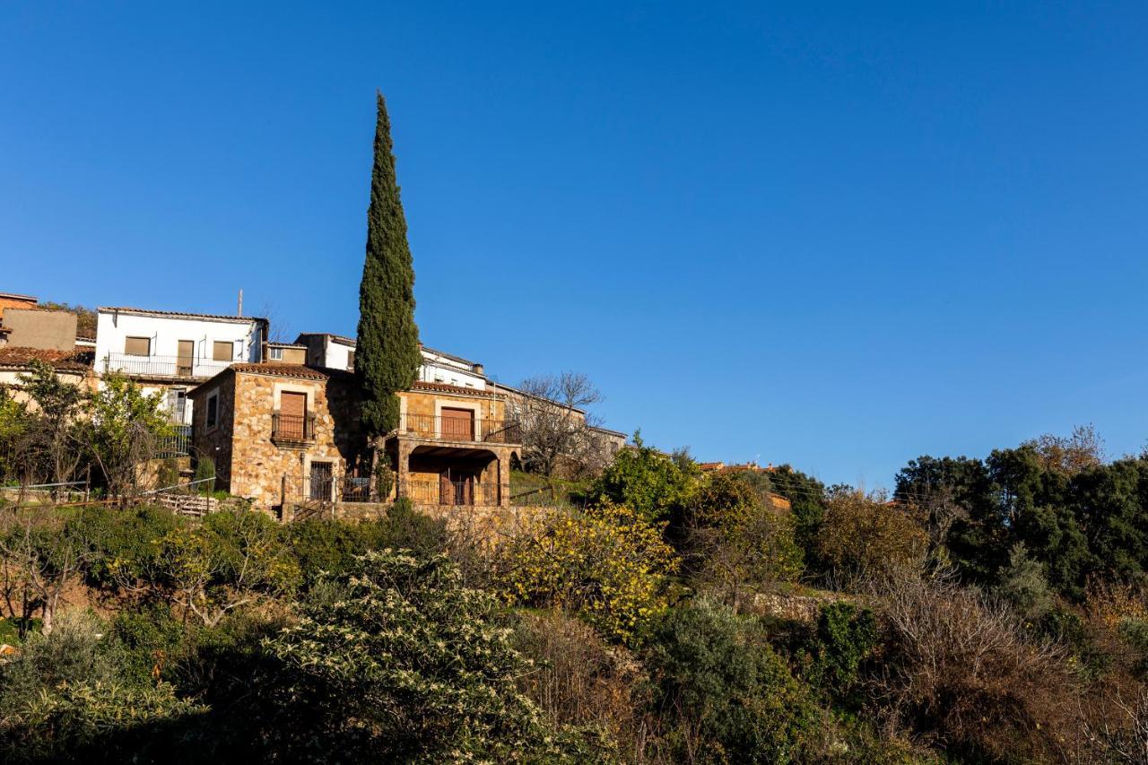 Casa Rural El Abeto Torre de Don Miguel Eksteriør billede